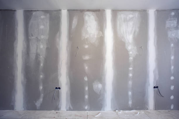 Best Fire-Damaged Drywall Repair  in Butler, IN